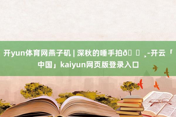 开yun体育网燕子矶 | 深秋的唾手拍📸-开云「中国」kaiyun网页版登录入口