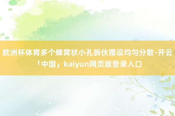 欧洲杯体育多个蜂窝状小孔拆伙摆设均匀分散-开云「中国」kaiyun网页版登录入口