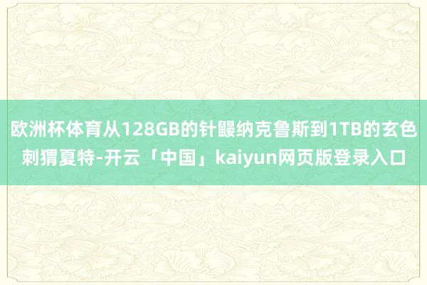 欧洲杯体育从128GB的针鼹纳克鲁斯到1TB的玄色刺猬夏特-开云「中国」kaiyun网页版登录入口