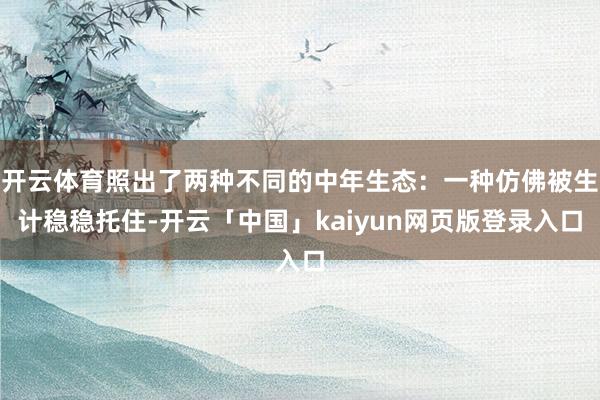开云体育照出了两种不同的中年生态：一种仿佛被生计稳稳托住-开云「中国」kaiyun网页版登录入口