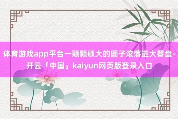 体育游戏app平台一颗颗硕大的圆子滚落进大餐盘-开云「中国」kaiyun网页版登录入口